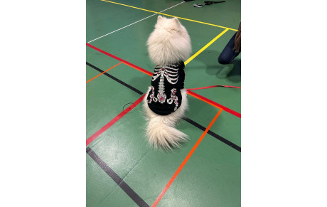 Tir d'Halloween 2025