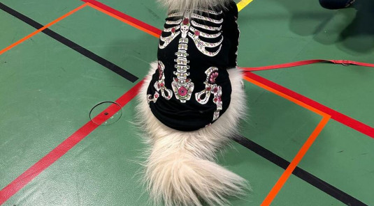 Tir d'Halloween 2025